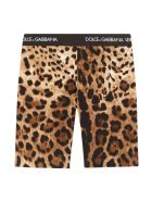 Dolce & Gabbana Leopard Print Leggings Dolce & Gabbana Leopard Print Leggings - Leopardato