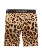 Dolce & Gabbana Leopard Print Leggings Dolce & Gabbana Leopard Print Leggings - Leopardato