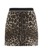 Dolce & Gabbana Skirt Dolce & Gabbana Skirt - Multicolor