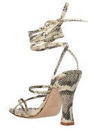 Shoes Paris Texas Shoes