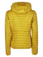 Alexis Padded Jacket Save the Duck Save the Duck Alexis Padded Jacket Save the Duck - YELLOW