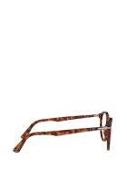 Persol Persol Po3212v Havana Glasses Persol Persol Po3212v Havana Glasses - Havana