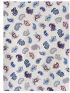 Etro 'paisley' Shirt Etro 'paisley' Shirt - Multicolor