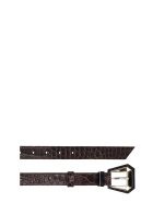 Kate Cate Belts In Black Leather Kate Cate Belts In Black Leather - black