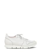 Buttero Carrera Black Leather Sneakers Buttero Carrera Black Leather Sneakers - White