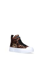 Sneakers Dolce & Gabbana Sneakers - Leopardato