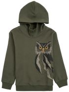 Il Gufo Green Organic Cotton Hoodie With Owl Print Il Gufo Green Organic Cotton Hoodie With Owl Print - Green