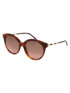 Gg0653s Sunglasses Gucci Gg0653s Sunglasses - 002 HAVANA GOLD BROWN