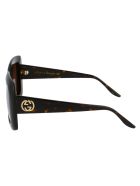 Gg0896s Sunglasses Gucci Gg0896s Sunglasses - 002 HAVANA HAVANA BROWN