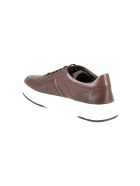 Tod's Sneakers Tod's Sneakers - Marrone