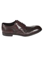 Dolce & Gabbana Perforated Derby Shoes Dolce & Gabbana Perforated Derby Shoes - Brown
