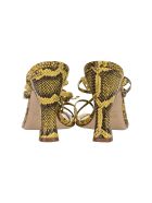 Snake Print Sandals Paris Texas Snake Print Sandals - Giallo