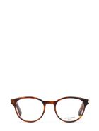 Saint Laurent Eyewear Saint Laurent Classic 10 Havana Glasses Saint Laurent Eyewear Saint Laurent Classic 10 Havana Glasses - Havana