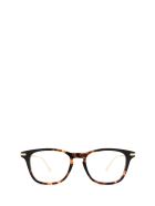 Gucci Gucci Gg0919o Havana Glasses Gucci Gucci Gg0919o Havana Glasses - Havana