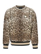 Crewneck Sweatshirt Dolce & Gabbana Crewneck Sweatshirt - Ha93m