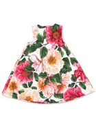 Dolce & Gabbana Dress Dolce & Gabbana Dress - Multicolore