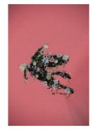 Etro T-shirt With Embroidered Pegaso Etro T-shirt With Embroidered Pegaso - Pink
