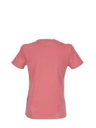 Etro T-shirt With Embroidered Pegaso Etro T-shirt With Embroidered Pegaso - Pink