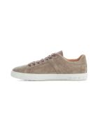 Tod's Suede Sneakers Tod's Suede Sneakers - Peat