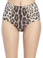 Slip Dolce & Gabbana Slip - Animalier