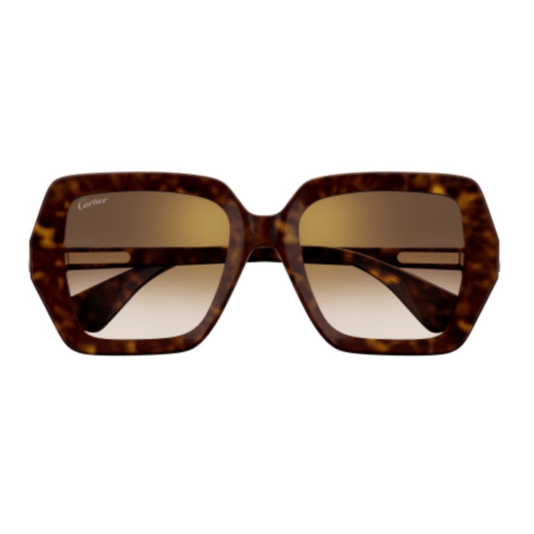 サングラス Cartier Cartier - CT0507S - 002 havana havana brown Cartier CT0507S 002 Sunglasses Women's Havana/Brown Square