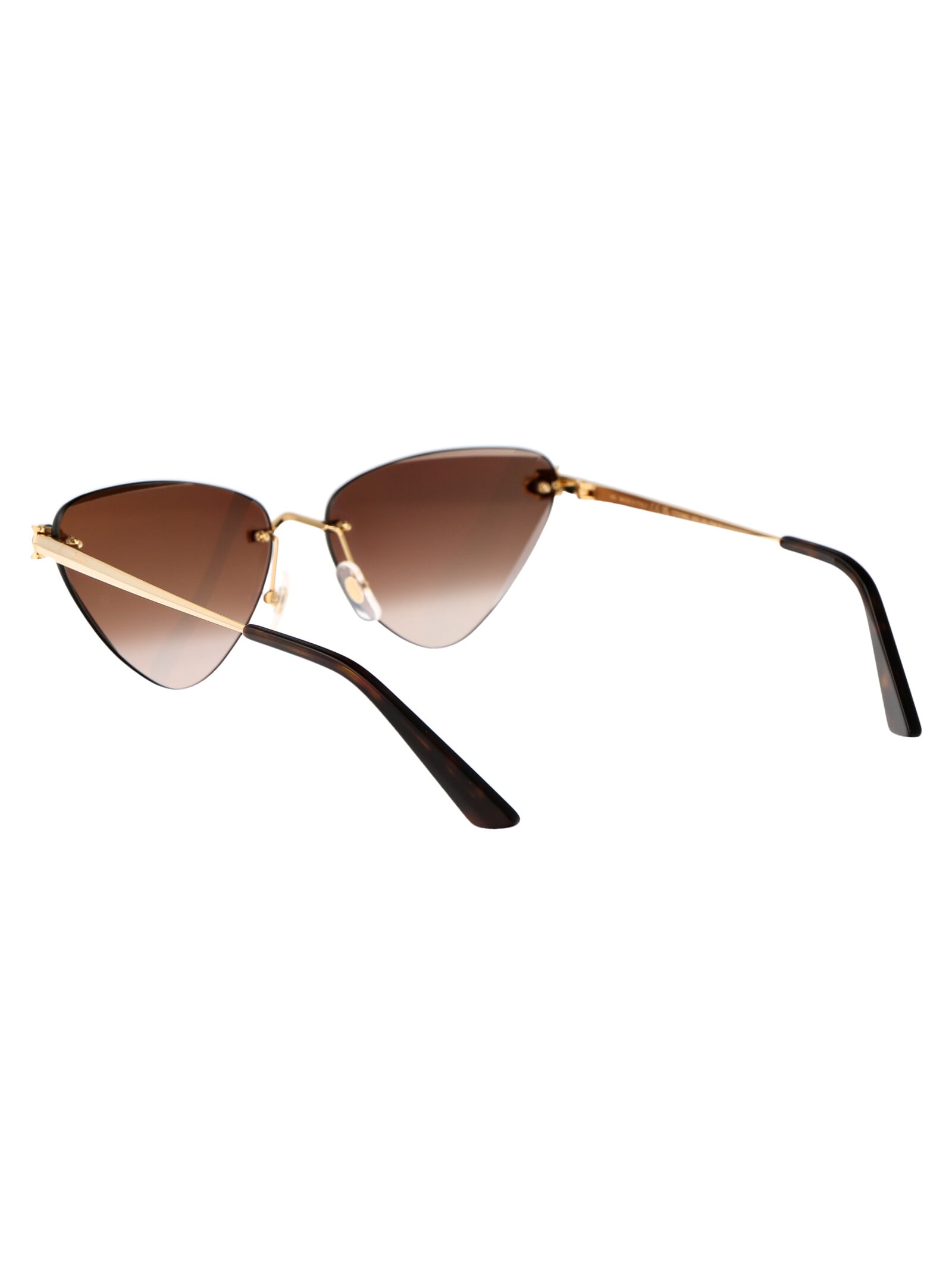 Cartier CT0399S Cat Eye Sunglasses