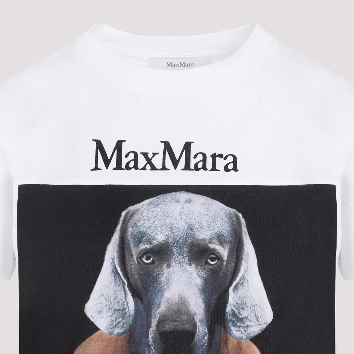 ＜MAX MARA ＞ Dog T-シャツ-CIPRIA Max Mara Cipria dog-print T-shirt | White | FARFETCH