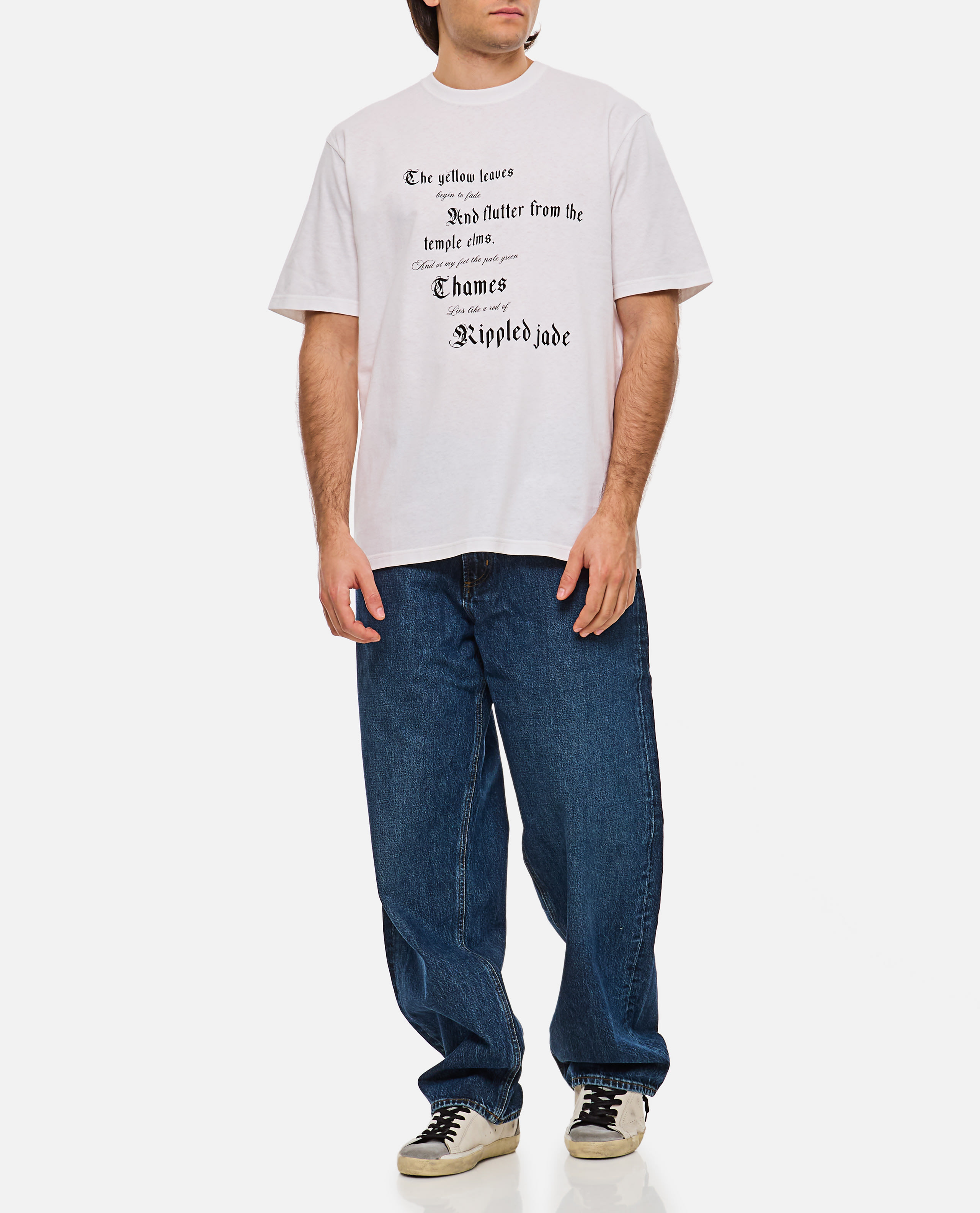 Tシャツ・カットソー alexander mcqueen T-SHIRT WITH PRINT (815069 QTAC70909) Alexander McQueen Printed T-shirt | italist