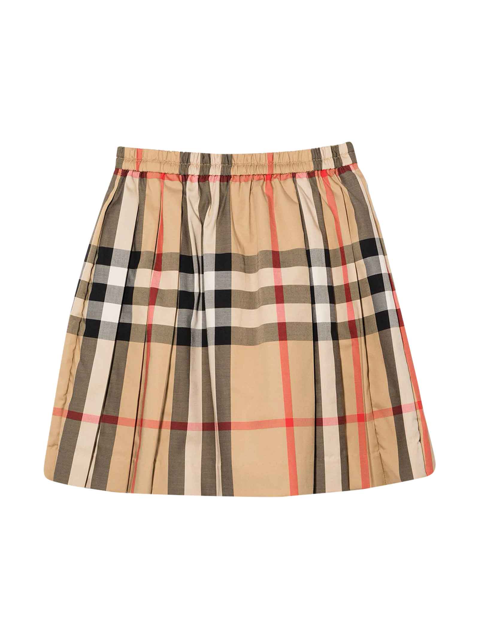 ladies burberry skirt