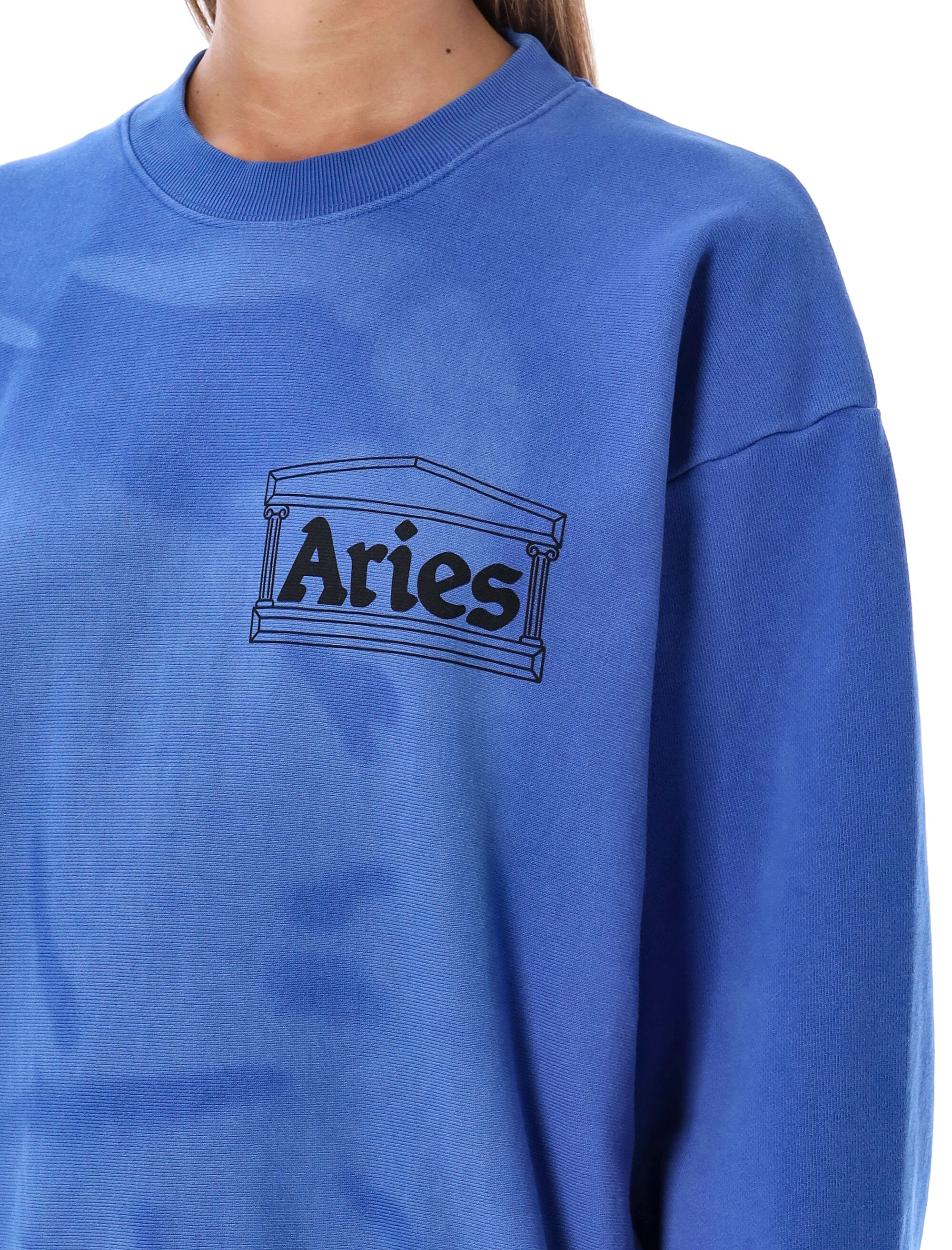 Aries Sunbleached Cross Grain Temple Sweatshirt | italist
