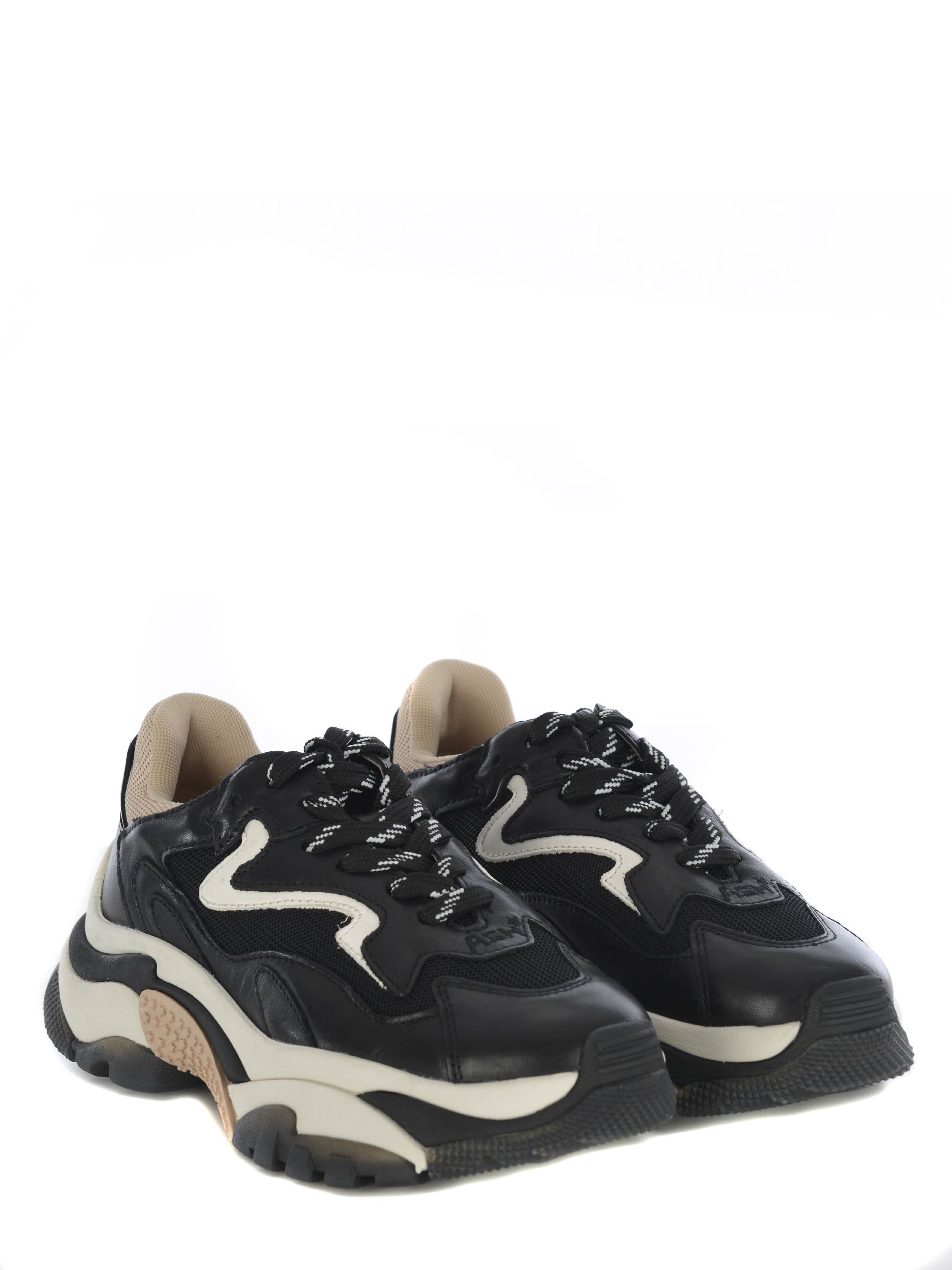 Sneakers Ash 