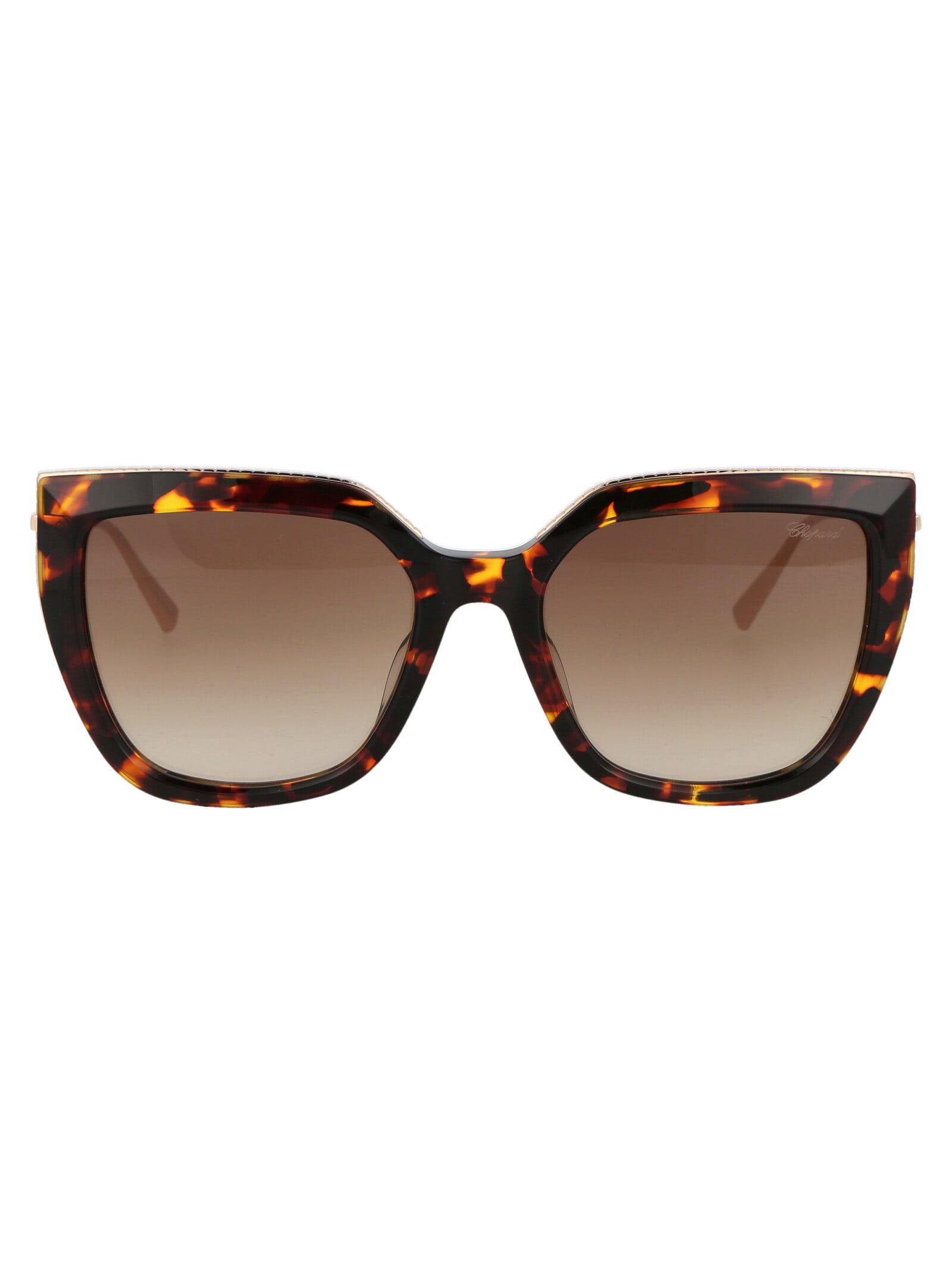 サングラス Chopard SS25 Woman SUNGLASSES (SCH319M 0745 BROWN) Chopard SCH319M 0745 Women's Shiny Havana/Gold Plastic