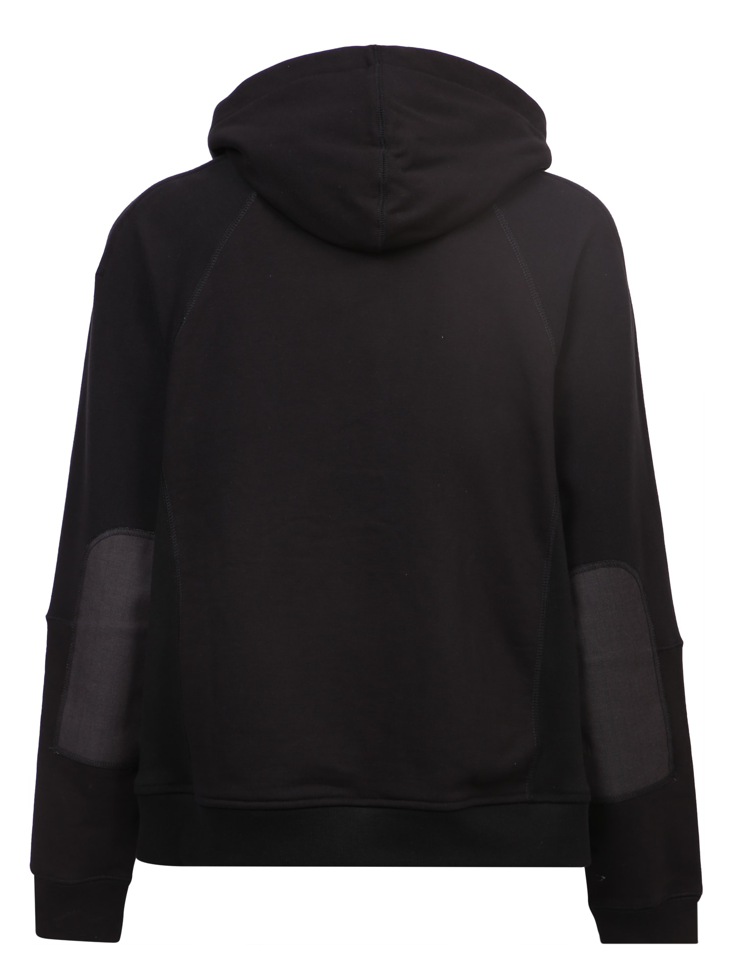 上田^_^ BRI1 and BAK1 Canonical Distribution in Plasma Membrane Is