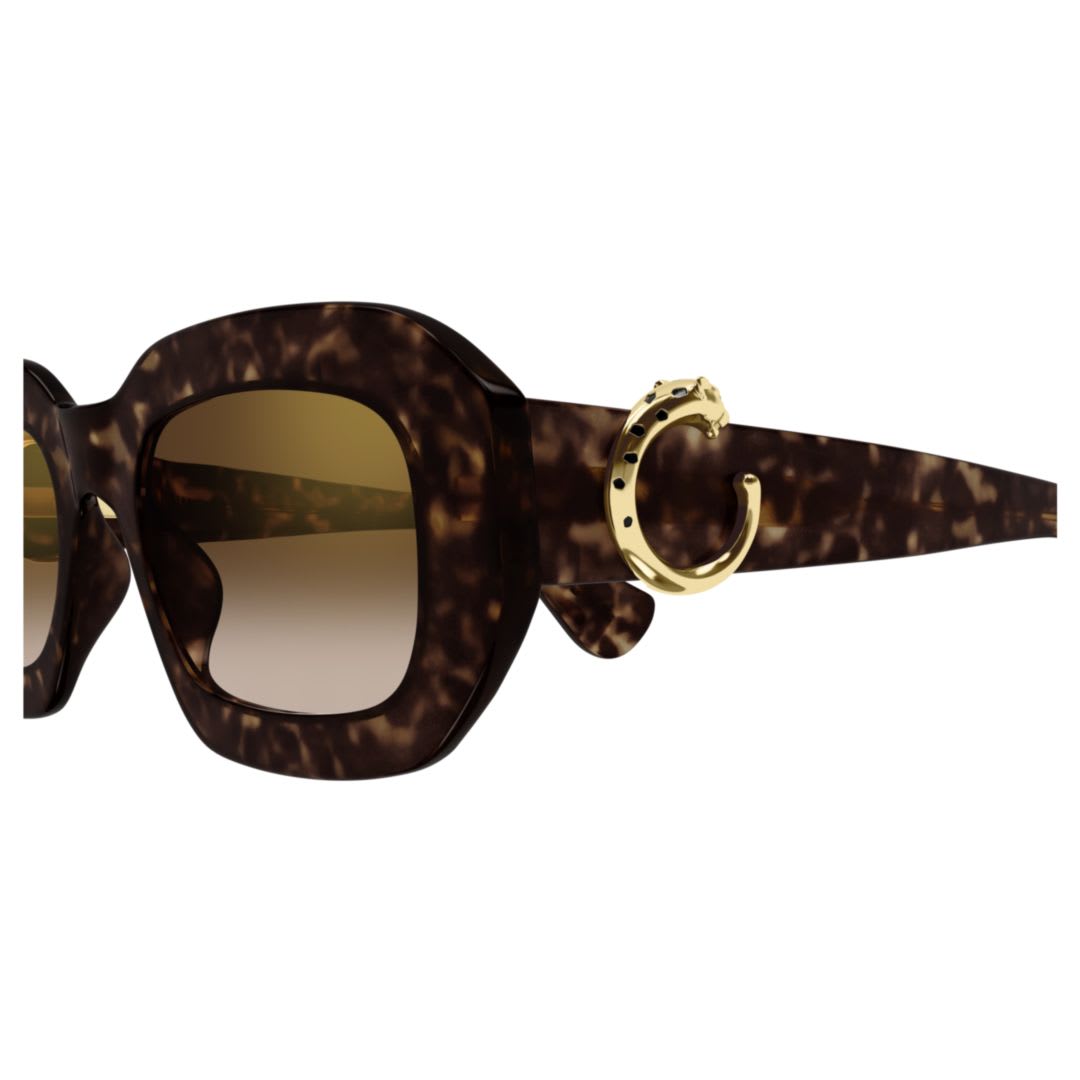 サングラス Cartier SS25 Cartier - CT0546S - 002 (CT0546S 002) Cartier CT0507S 002 Sunglasses - US