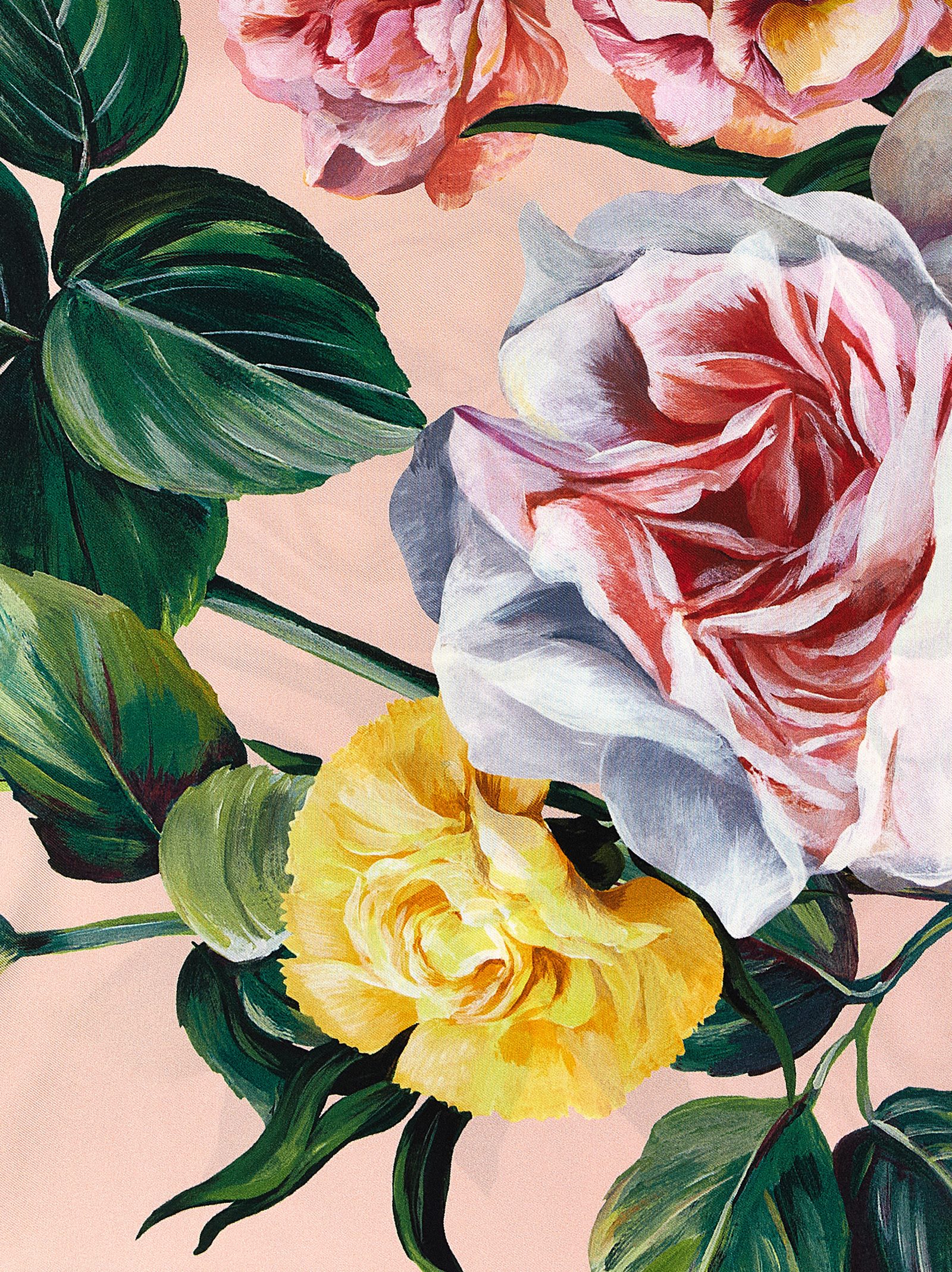 Dolce & Gabbana Silk Scarf | italist