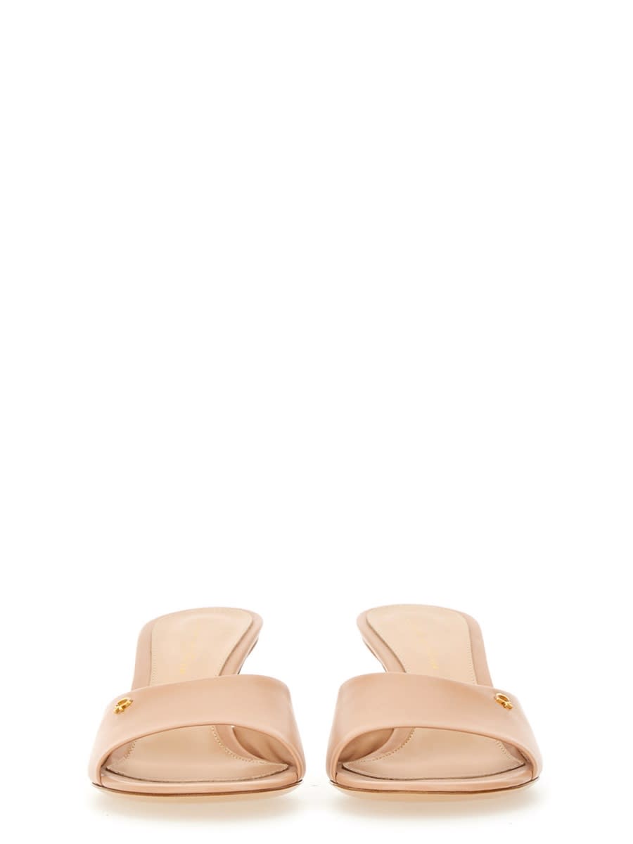 Gianvito Rossi Mule 