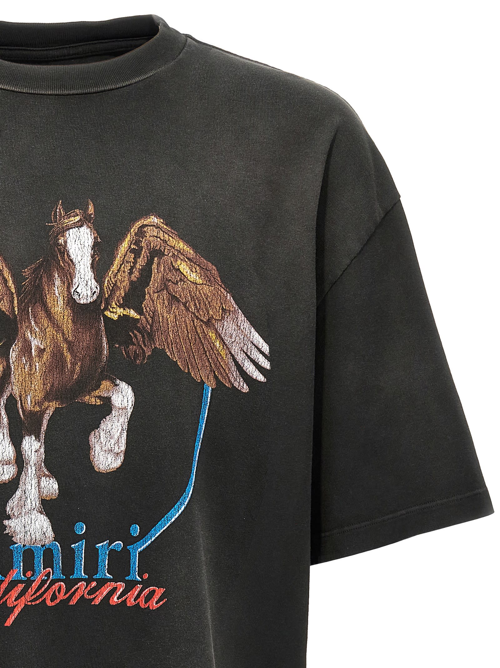 AMIRI 