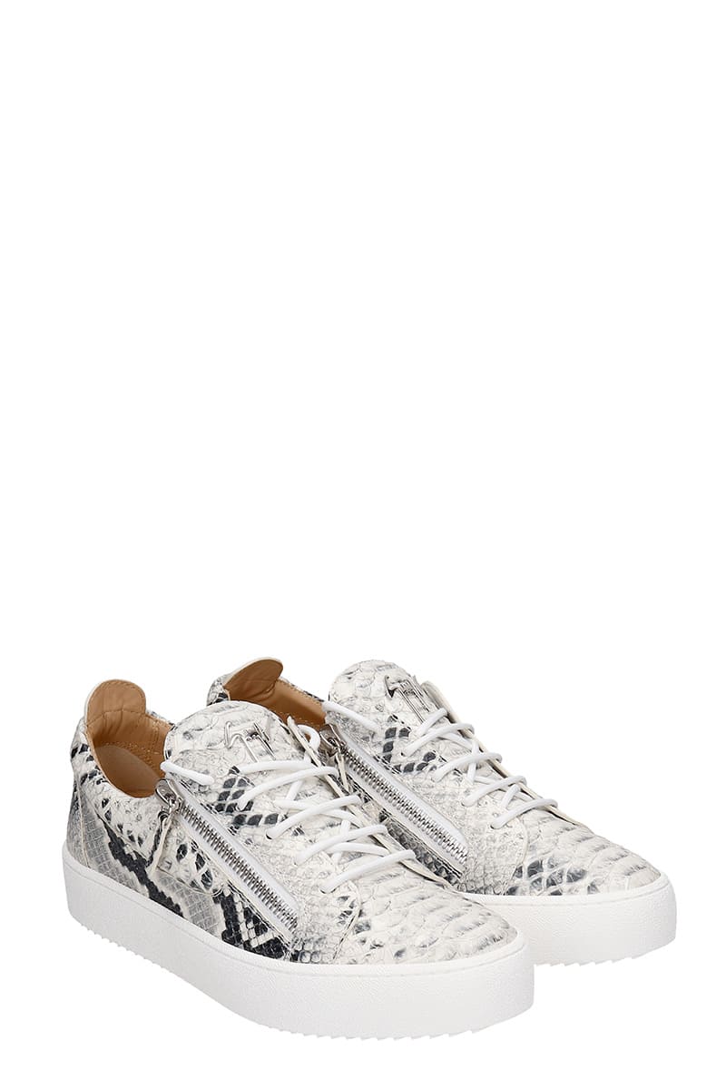 zanotti frankie python