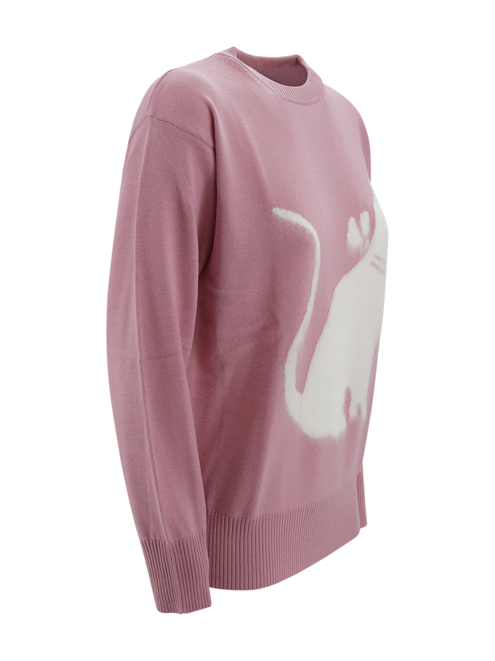 Shop Max Mara Jumper In Fancy Wool Yarn In Pink