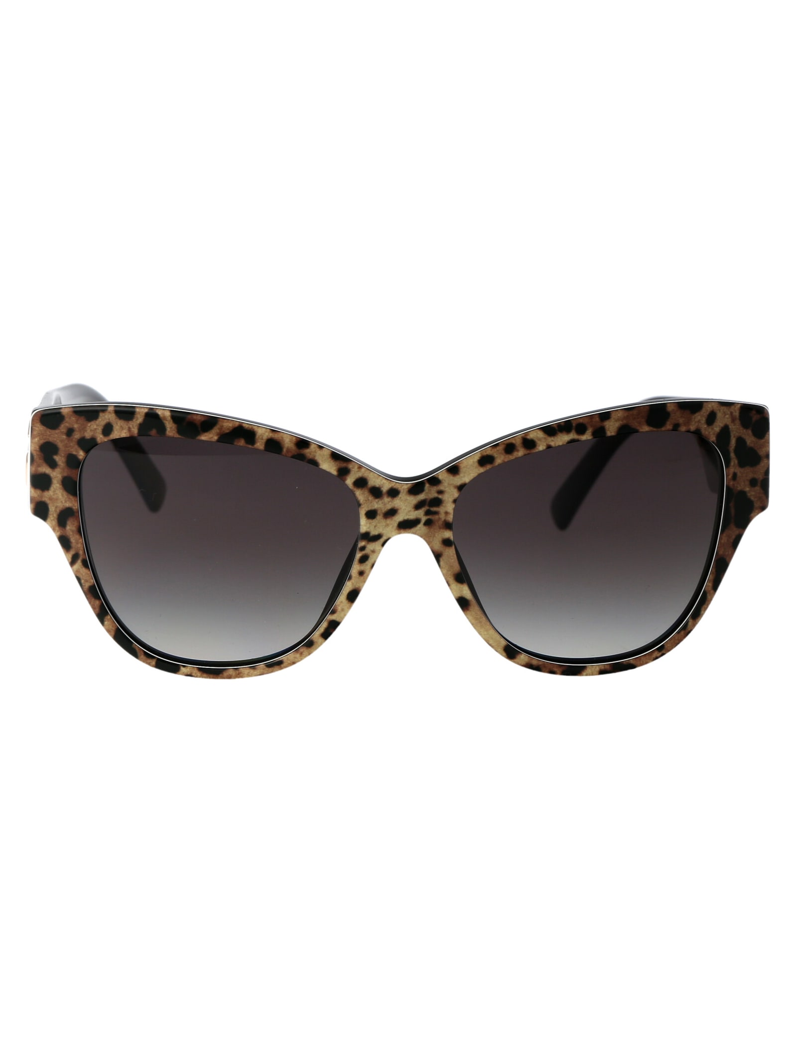 Shop Dolce &amp; Gabbana Eyewear 0dg4449 Sunglasses In 31638g Leo Brown On Black