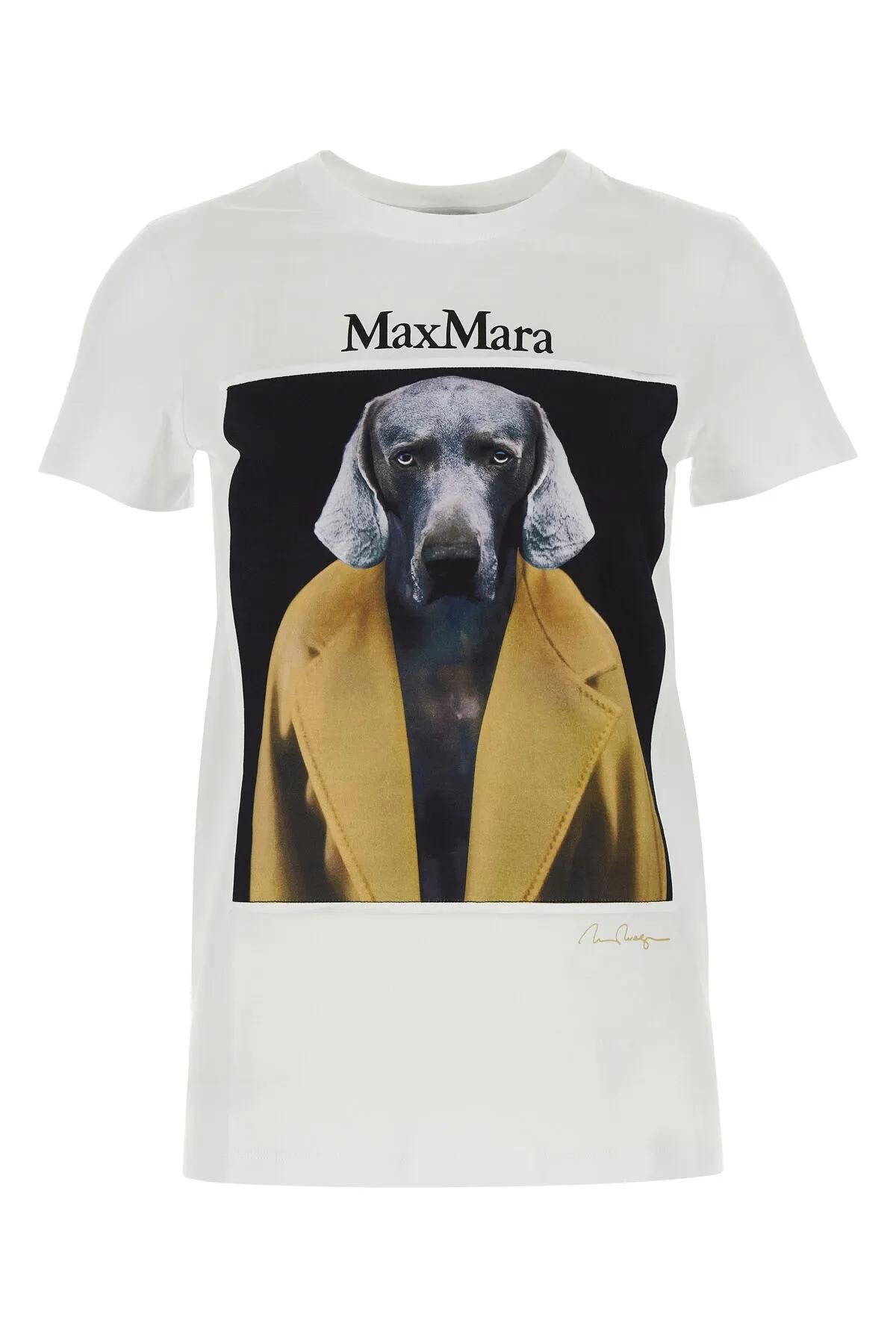 Shop Max Mara White Cotton Cipria T-shirt In Caramello