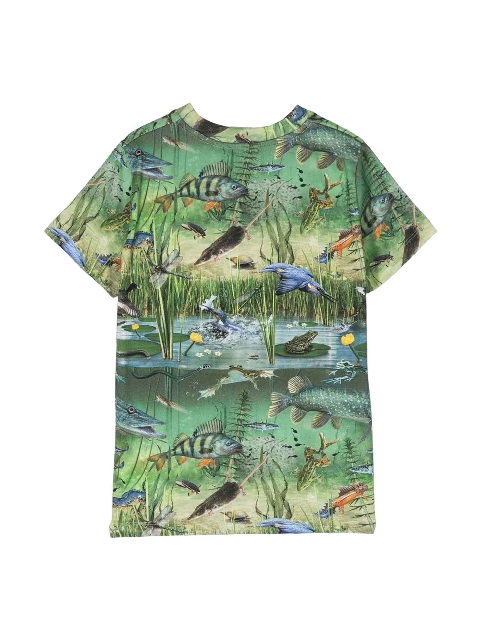 Molo Teen Boys Green Cotton Pond T-shirt