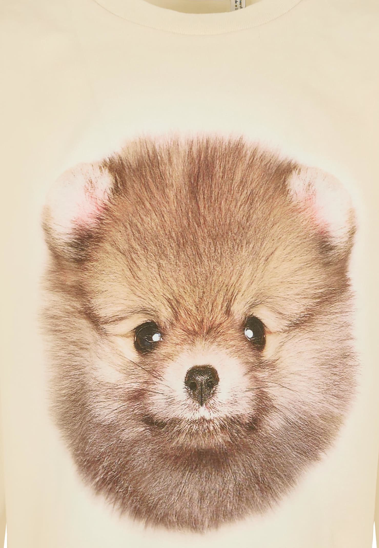 Molo Beige T-shirt For Girl With Dog In Neutral