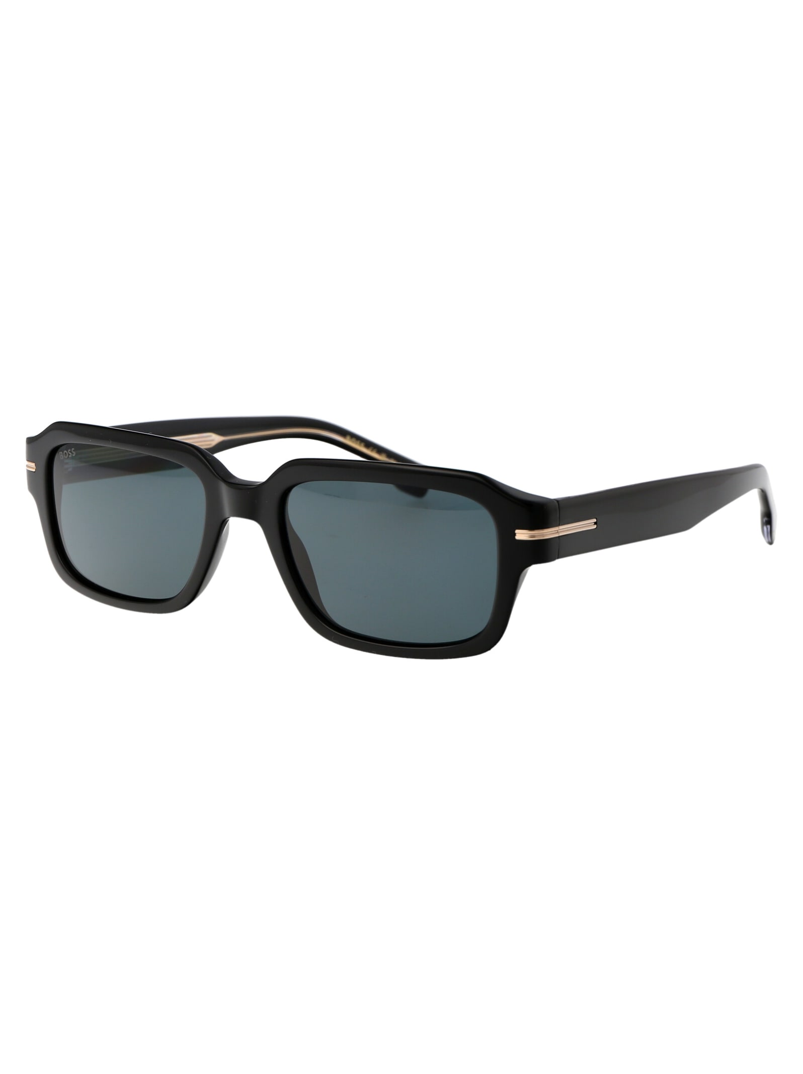 Hugo Boss Sunglasses