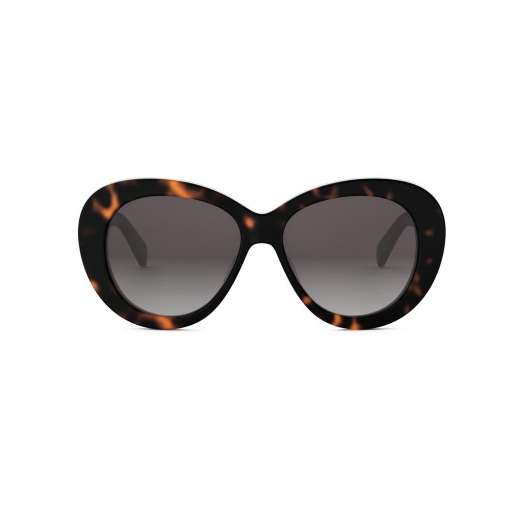 Celine Cl40317u52f In Multi