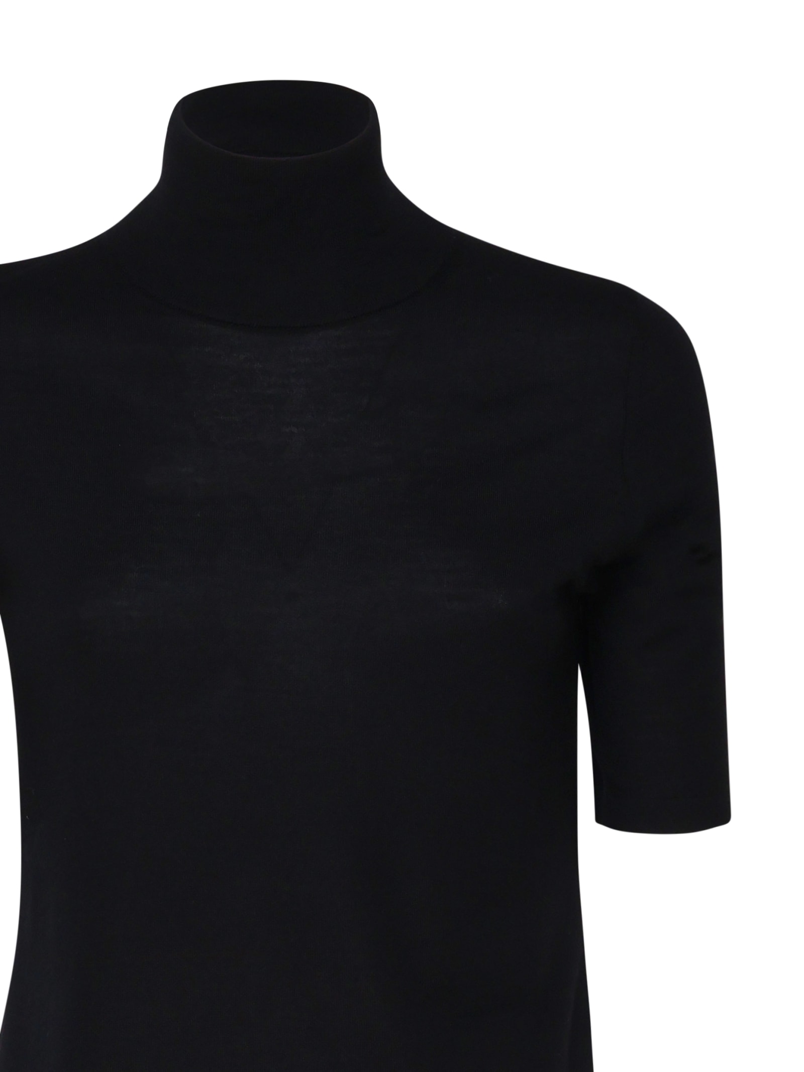 Shop 's Max Mara Gigi Turtleneck Sweater In Virgin Wool In Black