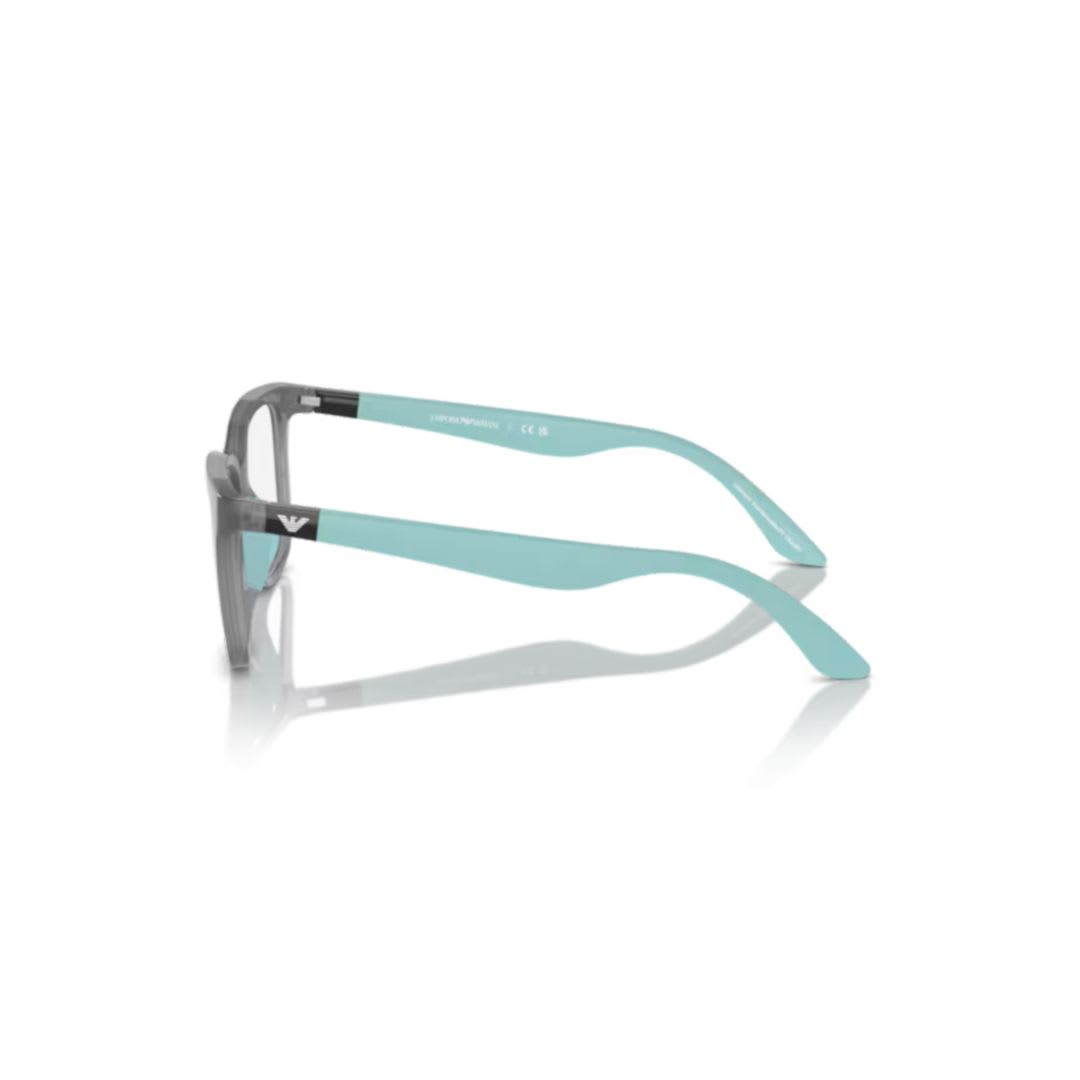 Emporio Armani 3006 Vista6134