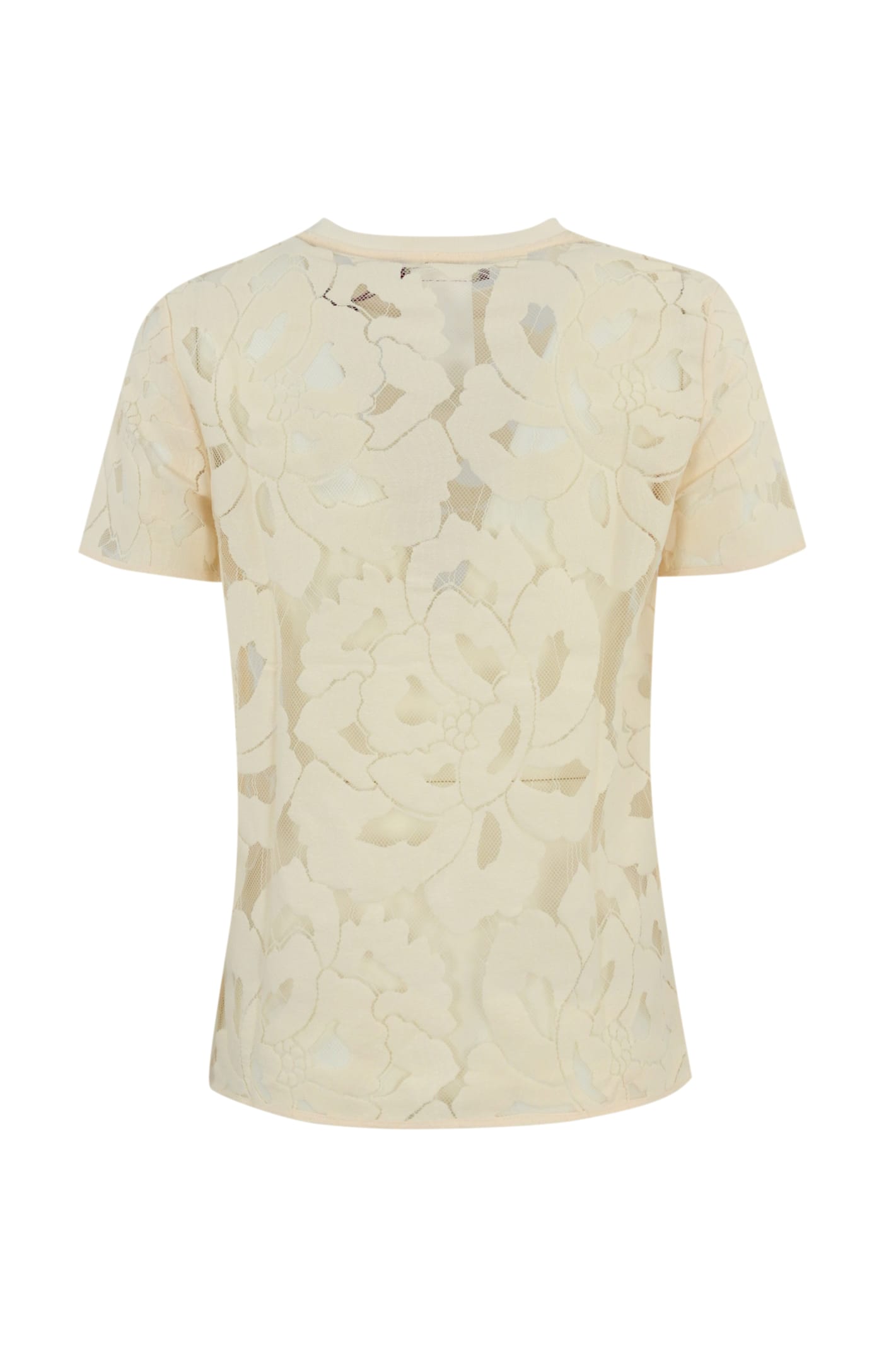 Shop Max Mara Derna Lace T-shirt In Ivory