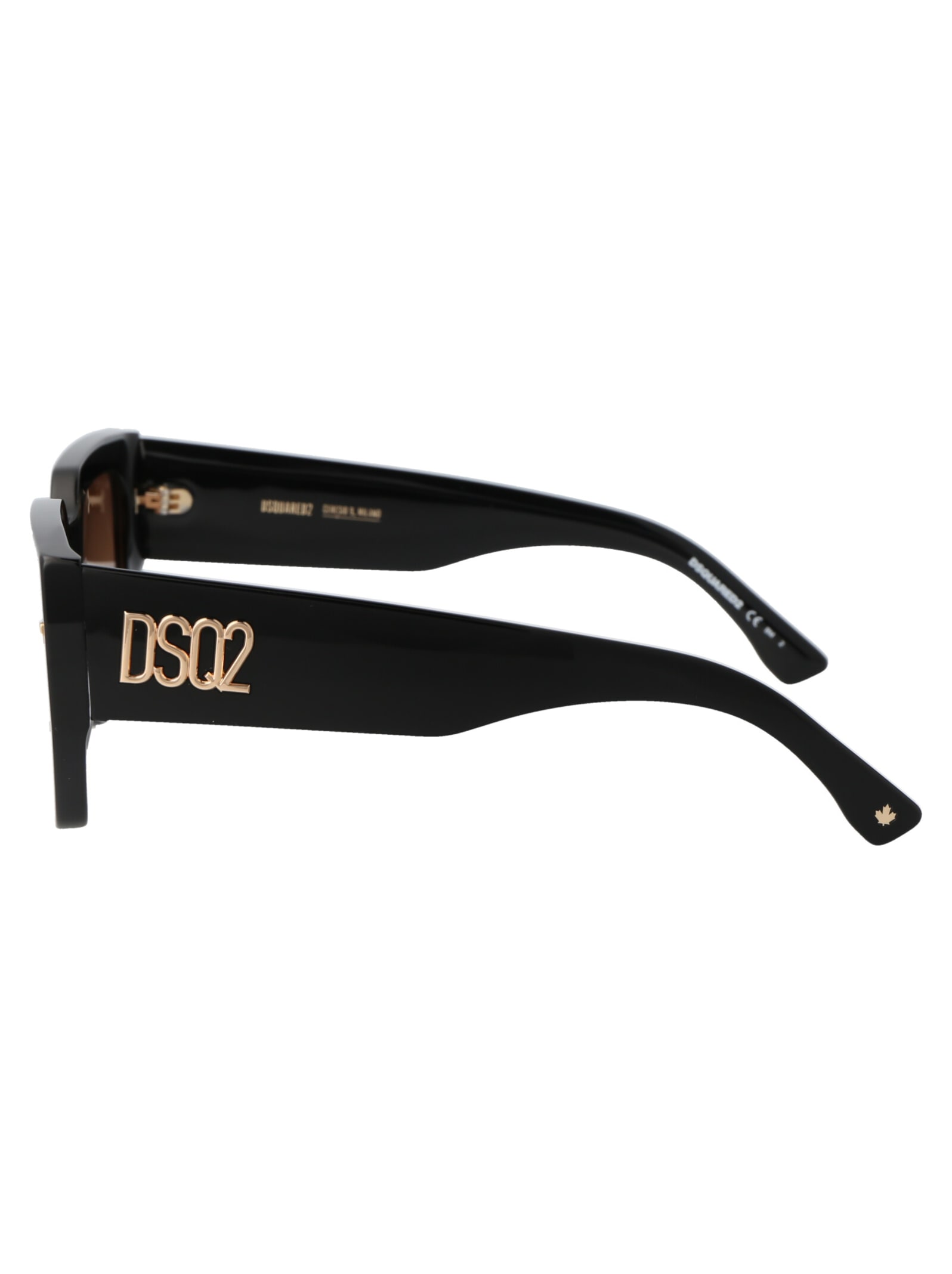 Dsquared2 D2 0031/s Sunglasses In Brown