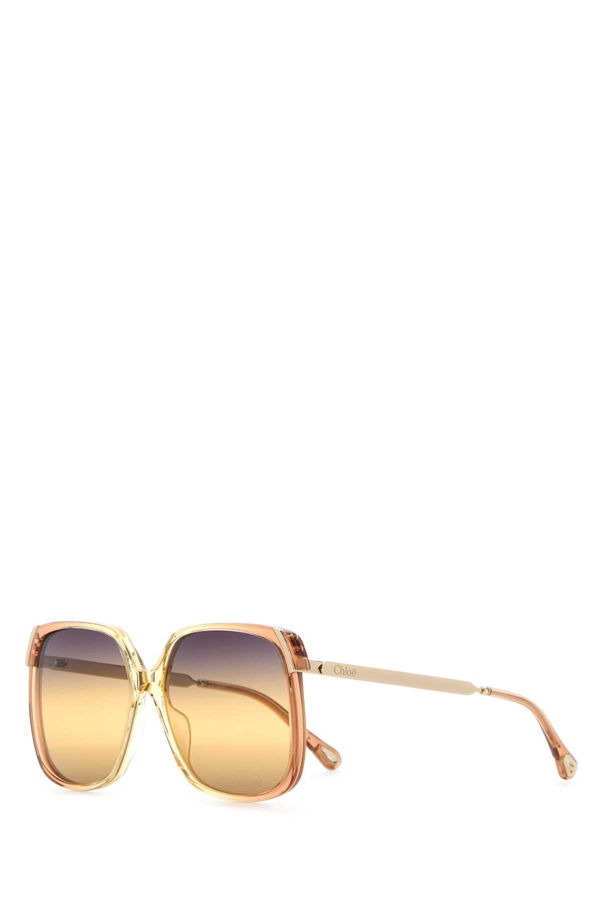 Chloé Printed Acetate And Metal Aly Sunglasses